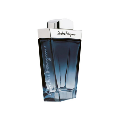 SUBTIL POUR HOMME SALVATORE FERRAGAMO FRAGANCIAS PLATINUM
