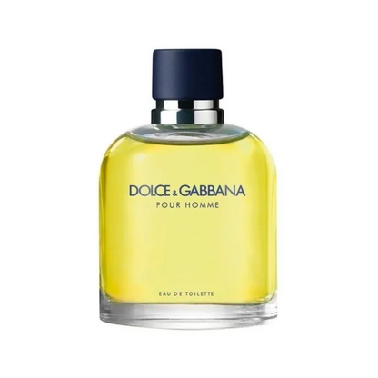 DOLCE & GABBANA POUR HOMME FRAGANCIAS PLATINUM